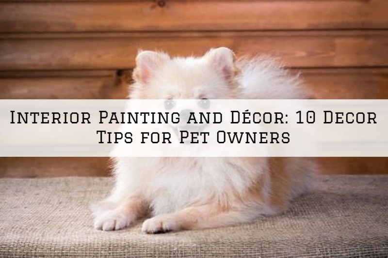 Interior Painting and Décor Kennett Square, PA_ 10 Decor Tips for Pet Owners